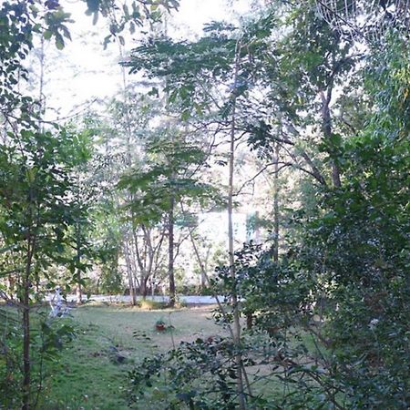สเตอร์ลิง เนเจอร์ เทรล ทาโภสา ชวาหาร Hotel Birjpara ภายนอก รูปภาพ