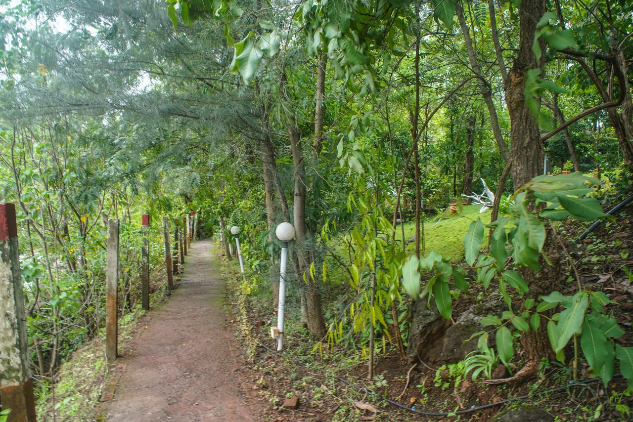 สเตอร์ลิง เนเจอร์ เทรล ทาโภสา ชวาหาร Hotel Birjpara ภายนอก รูปภาพ